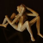 ふたりマケット集